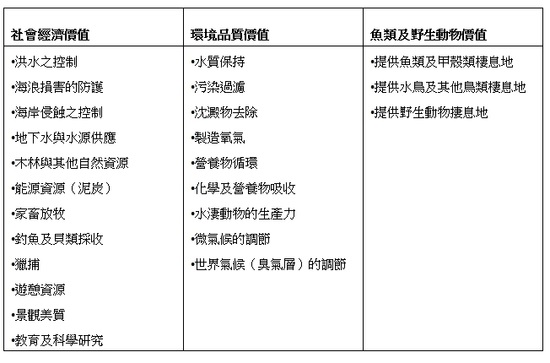 表1 濕地的功能或價值。資料來源：Burke et al., 1988; 劉靜靜，1995；于立平，1997