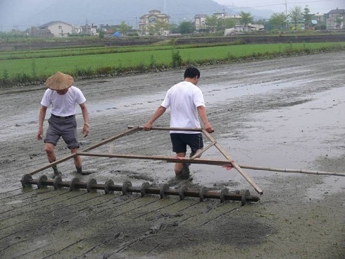 水田耕作行為保有我國的許多傳統文化，許多濕地生物也已適應傳統的水田耕作。圖為2007年宜蘭穀東俱樂部插秧祭時，來參與活動的年輕人隨老農實習傳統農具的使用。兼具濕地之生態與傳統文化保存，是水田耕作的非經濟價值，值得重視