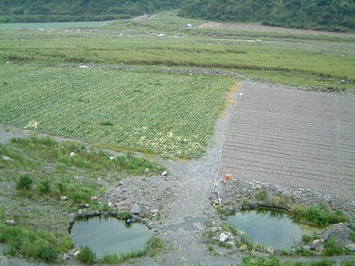 圖9 組成沖積扇的砂石結構鬆散，扇端附近地下水容易匯集，圖中為扇端附近挖開地表成水池，供農作物灌溉用水