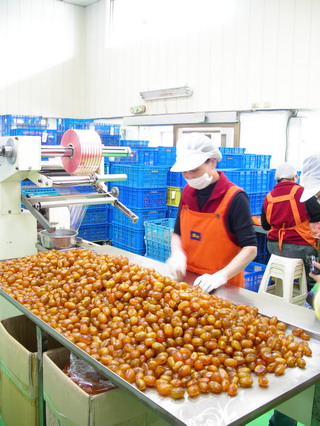 大規模加工並不是將小規模製作的利潤乘以倍數，其中還需面對技術、品質掌控、製作條件的拿捏等問題。