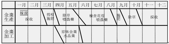 表一 金棗的年中工作曆，表中的月份為國曆 資料來源：2006年10月份筆者田野調查所得。
