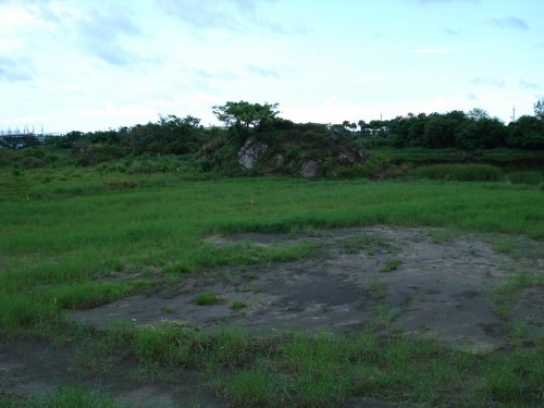 圖4 圖中黑灰色的硬頁岩即為烏石港港名之由來