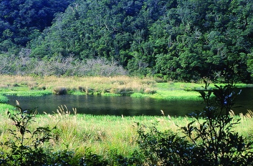 神秘湖（陳建志攝）。南澳鄉神秘湖是澳花瀑布的水源頭，原住民稱之死湖或鬼湖。因劃入南澳湖泊闊葉林自然保護區，為台灣東北角珍貴的動植物種源基因庫。此湖泊同時呈現陸域、林澤、草澤、水澤等四種湖泊演替現象。東亞三稜、眼子菜是最優勢且大最的族群。