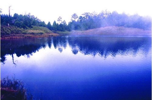 圖11 火災前的加羅湖 (1997年攝)