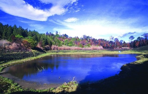 圖12 火災後的加羅湖 (2000年攝)