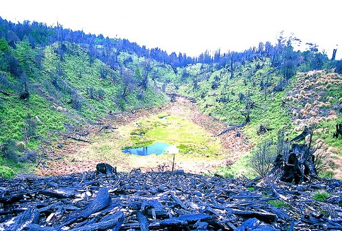 圖14 火災後的撤退池 (2000年攝)