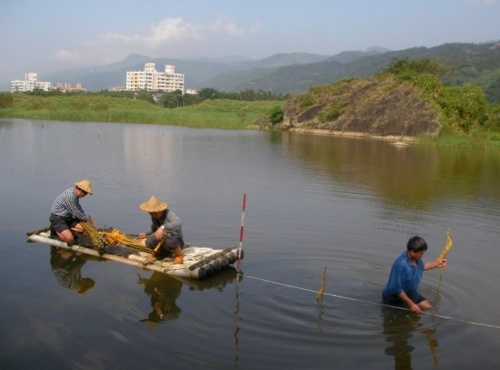 圖8 地電阻法人工佈置測線的工作情形