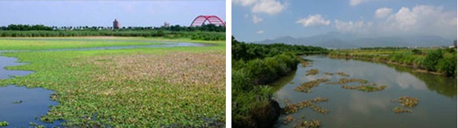 左圖：往冬山河看的五十二甲濕地景觀 / 右圖：往南的五十二甲濕地景觀