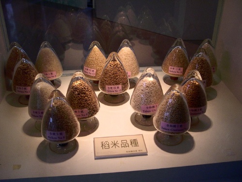 多樣化的稻米品種