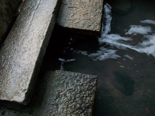 圖3 湧泉水池看似無水源頭，但在出水口處卻呈現大量的水不斷的流出，可見地底下湧出的泉量相當可觀