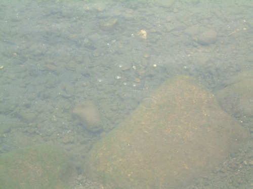 圖8 湧泉中常可見從池底冒出的氣泡