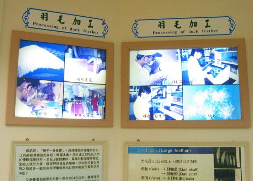 羽毛加工過程圖