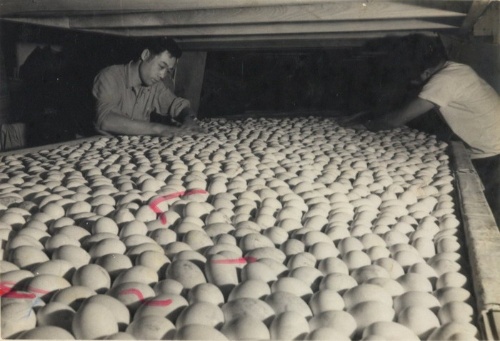 60年代的「舖」上裝滿即將啄殼而出之鴨蛋 ，工人正調整蛋與蛋之空間，以免小鴨孵出後過度擁擠，導致傷亡。