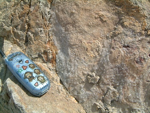 圖5 四稜砂岩 圖中白色為岩層裂縫中地下水充填的石英，硬度為7，四稜砂岩的組成含大量大顆粒的石英，故岩性非常堅硬，不易開挖。