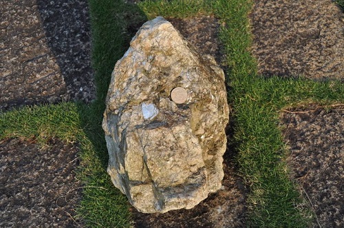 圖8 偉晶花崗岩中的白雲母（銅幣左下方片狀礦物）