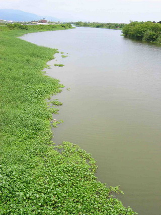 潮汐和河水漲落總有時間性，於是取名時潮村。