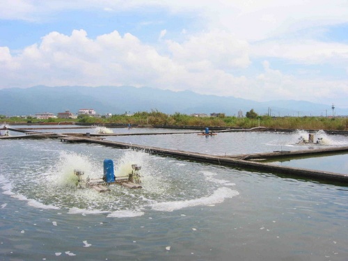 民國63年開始使用打氧氣的水車，圖為現狀。