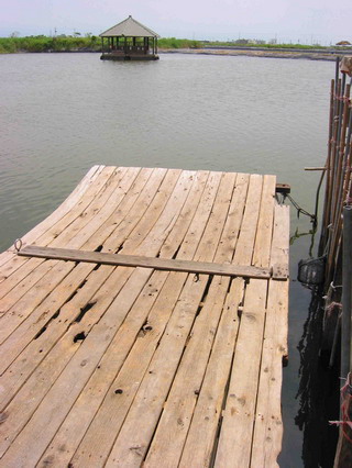 倚勤休閒漁業中心有全宜蘭獨一無二的空中撈魚休閒活動，利用竹筏快速在魚池行進，使池中魚類受驚嚇而躍出水面，再用魚網直接在水面上方撈魚。