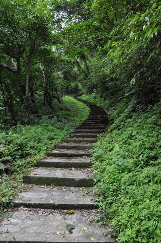 圖2 前往澳花瀑布的步道階梯。步道總長數百公尺，從入口處至瀑布步行約需10分鐘。