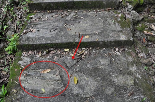 圖8 步道上鋪設的矽質片岩（圓圈）和變質石灰岩（箭頭）