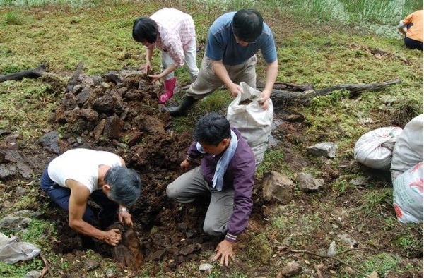 邱錦和老師帶領羅東社區大學「蘭陽濕地生態社」的學員走遍蘭陽地區大小濕地環境，以「生態工作假期」的型態進行許多活動。 圖為大同鄉崙埤池(自然湖泊)進行生態觀察及補池的漏洞，師生們正在進行補洞的工作，這是發現湖泊似乎因為漏洞而持續降低水位線，為延緩湖泊陸化現象而採取的不得已措施。(攝於2007年5月5日)