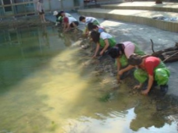 「蘭陽濕地生態社」在台北縣三峽鎮成福國小協助學校師生一同營造該校的生態池的情形。歷經三年多，該校利用此生態池陸續開發各種特色課程，也得到了教育部金質獎的肯定，可說是校園生態池營造成功之典範。(攝於2007年10月28日)