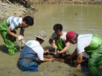 老師們正於台北縣三峽鎮成福國小製作一個小型的生態浮島。(攝於2007年10月28日)