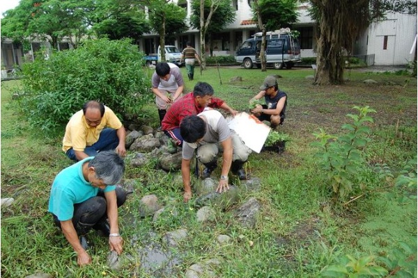 「蘭陽濕地生態社」學員們正於蘇澳鎮育英國小上課，並協助將台灣水龍種植於生態草溝中。(攝於2007年6月16日)