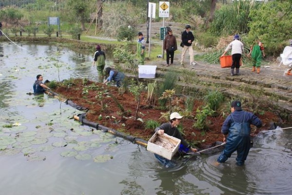 「蘭陽濕地生態社」在員山鄉的雷公埤製作一座大型生態浮島的工作情形。此圖說明學員們將生態浮島放到水面上，把員山鄉裡應該有的水生植物(如紫芋、高桿燈芯、三儉草、三白草、穗花棋盤腳、水社柳…等10多種植物)種植在這座浮島上。(攝於 2009年3月14日)