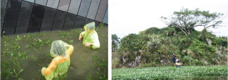 左：上午先進行宜蘭水簑衣的復育工作 (賴擁憲 攝) / 右：烏石礁體 (賴擁憲 攝)