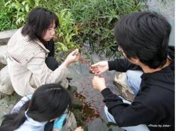 學員們正在辨識與觀察水生植物