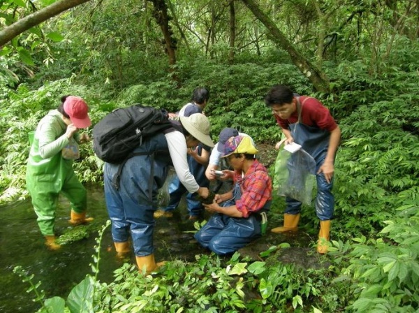採集種子和圍網策略復育的方法，變成了水生物種保存的現行策略