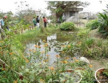七賢國小的人工生態池