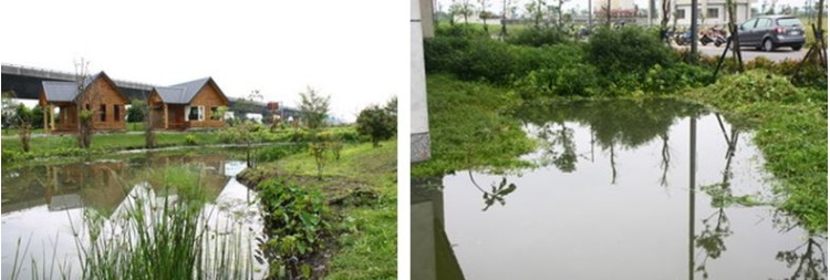 左：黎明社區禾風竹露民宿的生態池 / 右：羅東水資源回收中心的生態池