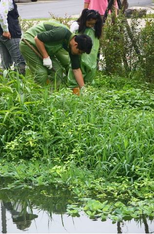 為了要讓整個池子感覺不是雜草叢生，形成景觀上的不舒服感，或是特定復育的植物生長情形不如預期，需要補種，或是生長過剩需要修剪…，就需要勞動人手「進階管理」了