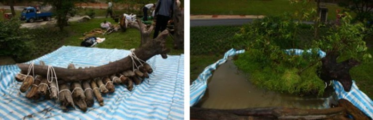 左：參與2010宜蘭綠色博覽會漂流木景觀園藝設計競賽，創作設計『生態龍舟』 / 右：『生態龍舟』成品