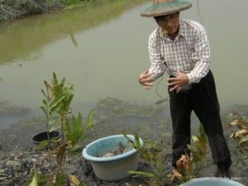 邱老師說明如何栽種鹵蕨