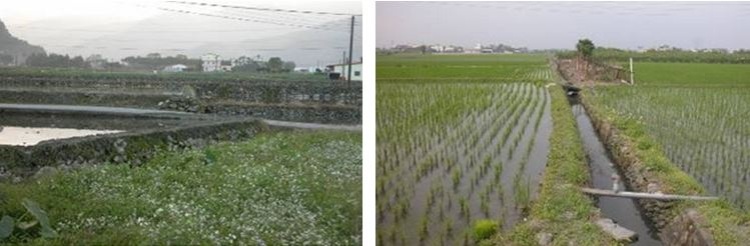 左：天送埤一帶的有機石砌田畝 / 右：大隱一帶的方正田畝