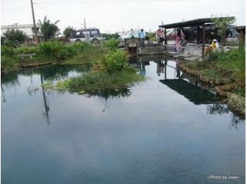 員山鄉蓁巷社區的人工浮島，綠意盎然