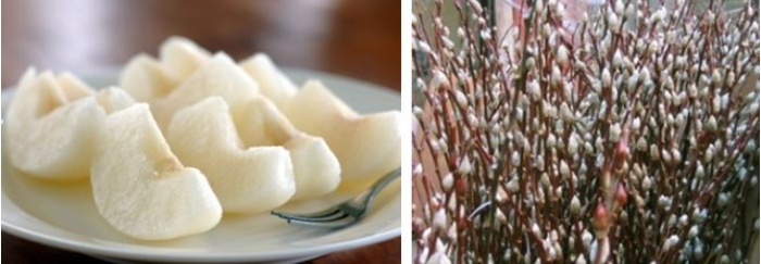 左：上將梨 / 右：銀柳