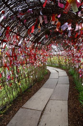 銀柳隧道(彭名琍 攝)