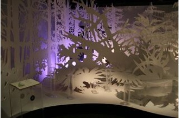 生態區是宜蘭大學毛俊傑老師多年研究的成果，同時背景以剪影的方式呈現，讓觀眾可以同時享受科學的成果以及藝術的感受