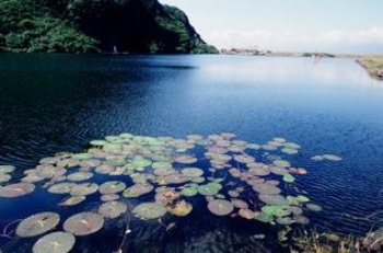 半鹹水狀態的龜尾潭