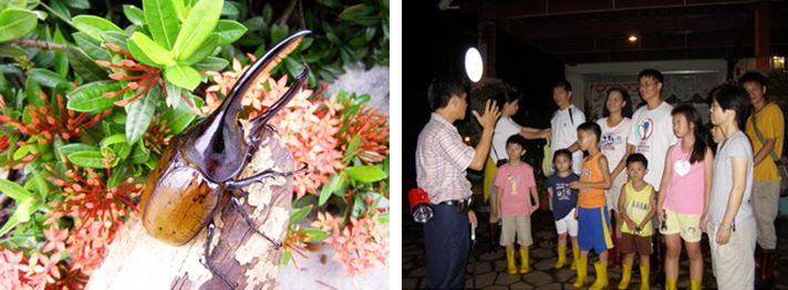 左：鳳凰宿甲蟲生態教育館 / 右：精彩的導覽解說服務