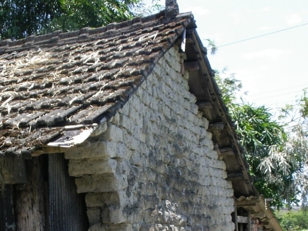 圖6.宜蘭楊宅以粗厚的箣竹管為桁檁，竹管桁檁置於土埆牆上以支撐屋頂。(蘇美如拍攝，2007)