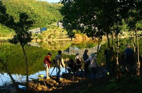 地啄木出現在蘭陽博物館，引起大批愛好鳥類攝影的好手進駐等待芳蹤。（攝影者：賴擁憲）