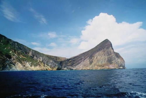 龜首，呈橢圓椎形