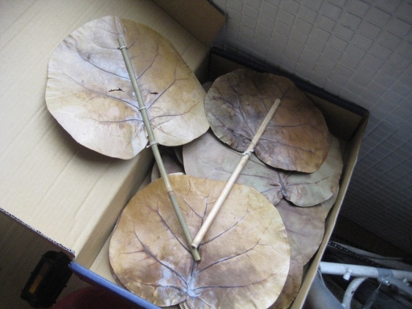 綠兔子自然民具