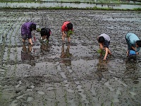 大宅院友善市集-9月份精采活動