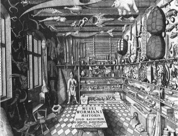 奇珍異寶收集屋～荷蘭內科醫生兼古董商人（Ole Worm，13 May 1588 – 31 August 1655）的寶庫（資料來源：Wingendorp, 1655, Museum Wormianum, Elservier: Leiden）